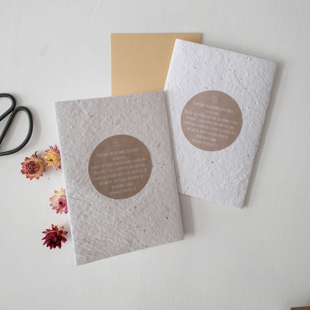 Plain Plantable Seed Paper Gift Cards (Set of 2)