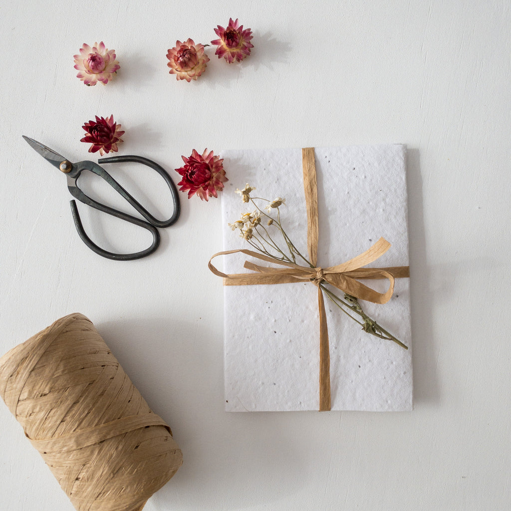 Plain Plantable Seed Paper Gift Cards (Set of 2)