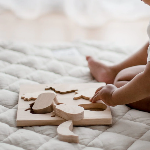Wooden Fruit Puzzle